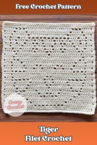 Easy Tiger Filet Crochet | Free Pattern